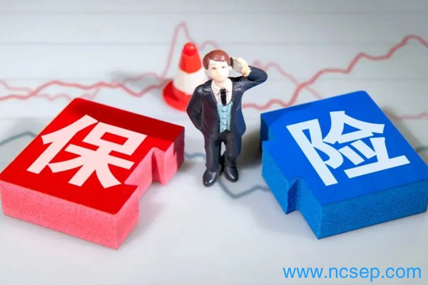 比亚迪保险有哪些险种可以买？