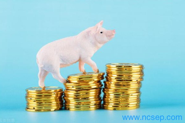 生猪期货交易手续费标准最新2023