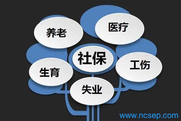 2023年社保最新政策