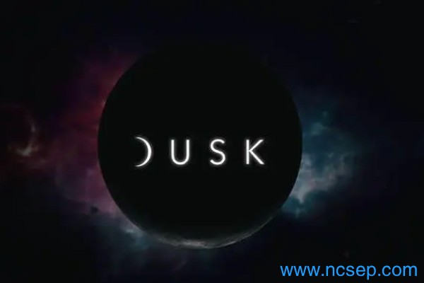 DUSK币怎么购买？DUSK币前景如何？