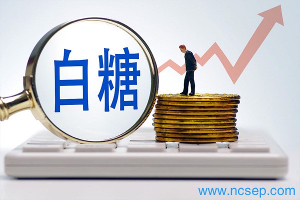 白糖期货为什么大涨？白糖期货手续费多少钱一手？