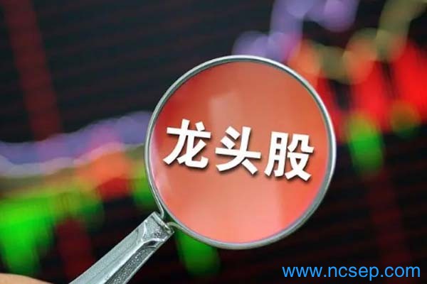 家电龙头股有哪些？ 2023家电龙头股票一览表最新