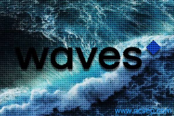 WAVES币未来价格预测 WAVES币值得长期持有吗？