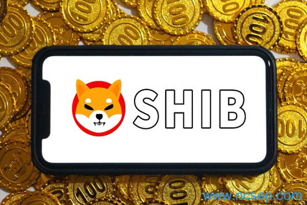 SHIB币未来价格预测 SHIB币有投资价值吗？
