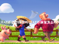 HAY币值得投资吗？HAY币前景怎么样？