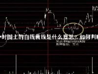 分时图上的白线黄线是什么意思？如何判断？