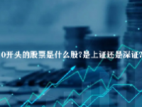 0开头的股票是什么股？是上证还是深证？