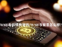 WSB币值得投资吗？WSB币前景怎么样？