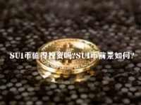 SUI币值得投资吗？SUI币前景如何？