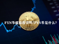FYN币值得投资吗？FYN币是什么？FYN币未来价格预测2023