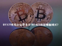 REKT币发行总量多少？REKT币在哪里购买？