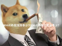 HOGE币能涨到多少？HOGE币发行量是多少？