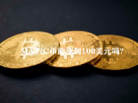 MATIC币能涨到100美元吗？MATIC币值得长期持有吗？