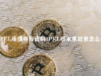 PEL币值得投资吗？PEL币未来前景怎么样？