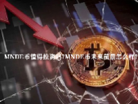 MNDE币值得投资吗？MNDE币未来前景怎么样？
