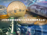 SNEK币值得投资吗？SNEK币未来前景怎么样？