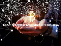 IMX币未来价值怎么样？IMX币能涨到80美元？