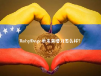 BabyDoge币未来潜力怎么样？BabyDoge币未来价值预测