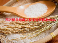 稻谷期货最新交易手续费标准2023