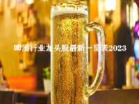 啤酒行业龙头股最新一览表2023