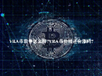 VRA币前景怎么样？VRA币价格还会涨吗？
