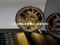 CSPR币未来能到达100美元吗？CSPR币价格预测
