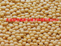 大豆期货最新交易手续费标准2023