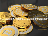 Siacoin币值得投资吗？Siacoin币未来前景怎么样？