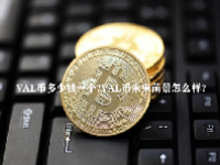 VAL币多少钱一个？VAL币未来前景怎么样？