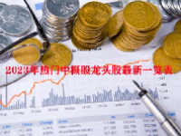 2023年热门中概股龙头股最新一览表