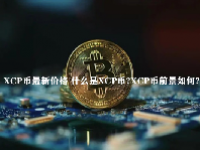 XCP币最新价格 什么是XCP币？XCP币前景如何？