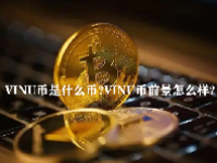 VINU币是什么币？VINU币前景怎么样？