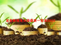 龙业板块龙头股最新一览表2023