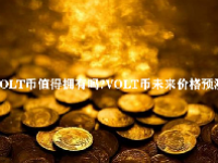 VOLT币值得拥有吗？VOLT币未来价格预测