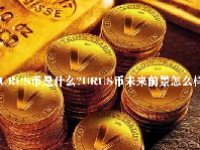 URUS币是什么？URUS币未来前景怎么样？