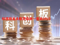 科技股龙头股票最新一览表2023