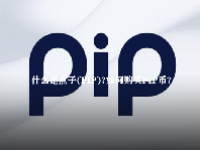 什么是点子（PIP）？如何购买PIP币？