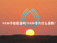 SRM币有前途吗？SRM币为什么暴跌？
