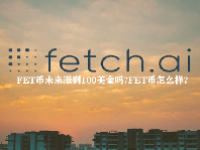 FET币未来涨到100美金吗？FET币怎么样？