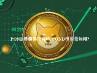 POND币值得投资吗？POND币前景如何？
