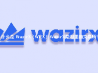 什么是 WazirX (WRX)？WazirX是哪里的交易所？