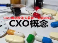 CXO概念股龙头最新一览表2023