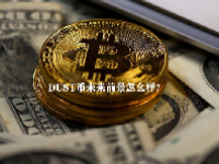 DUST币未来前景怎么样？