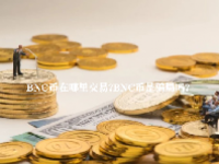 BNC币在哪里交易？BNC币是骗局吗？