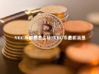 XEC币前景怎么样？XEC币最新消息