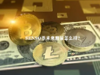 SENSO币未来前景怎么样？