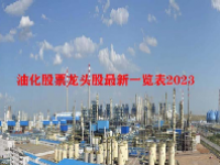 油化股票龙头股最新一览表2023