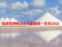 盐湖提锂概念龙头股最新一览表2023