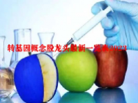 转基因概念股龙头最新一览表2023