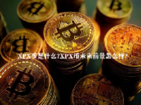 XPX币是什么？XPX币未来前景怎么样？